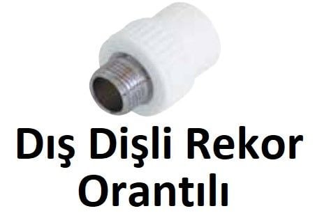 Orantılı Dış Dişli Rekorlar